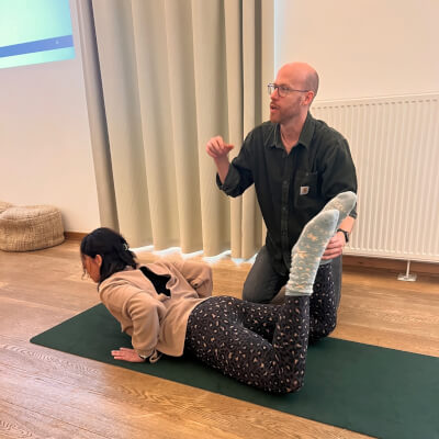 Functionele anatomie voor professionals Functionele anatomie voor professionals